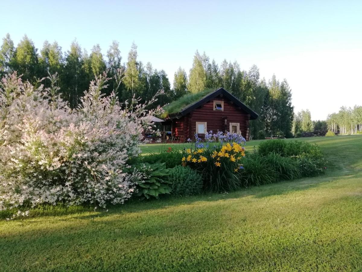 Paeikseranna Holiday Centre Villa Nedsaja Luaran gambar